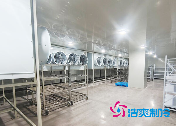 速冻隧道菠萝蜜在线观看安装费用