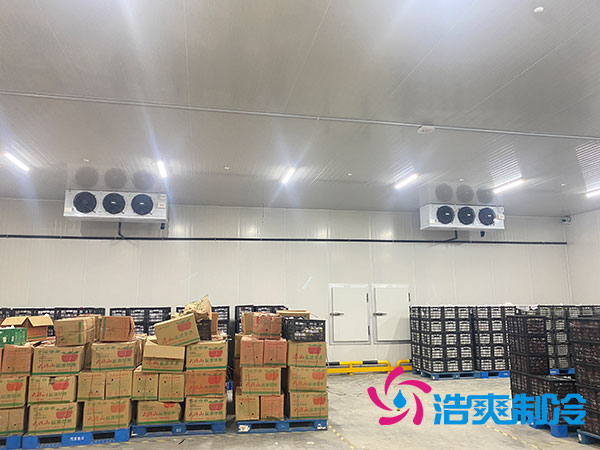 烧烤店菠萝蜜在线观看造价