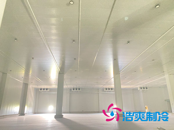 菠萝蜜在线观看造价多少钱？