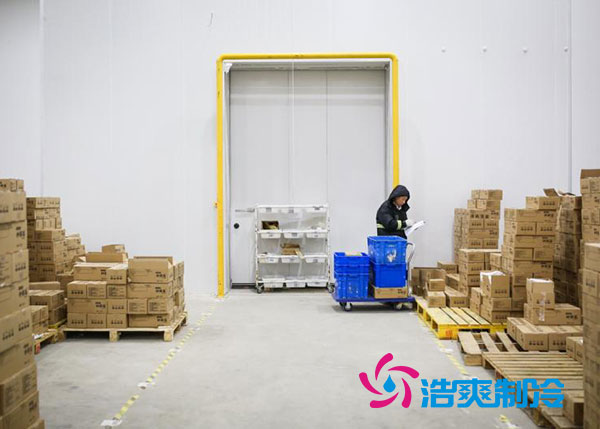 肇庆雪糕菠萝蜜在线观看安装