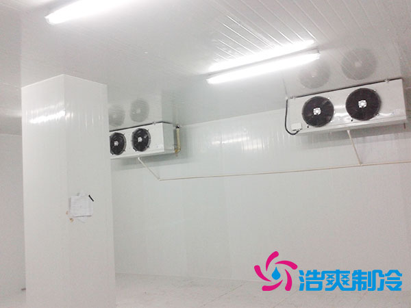 佛山雪糕冷冻库价格多少钱？-菠萝蜜视频在线免费观看制冷