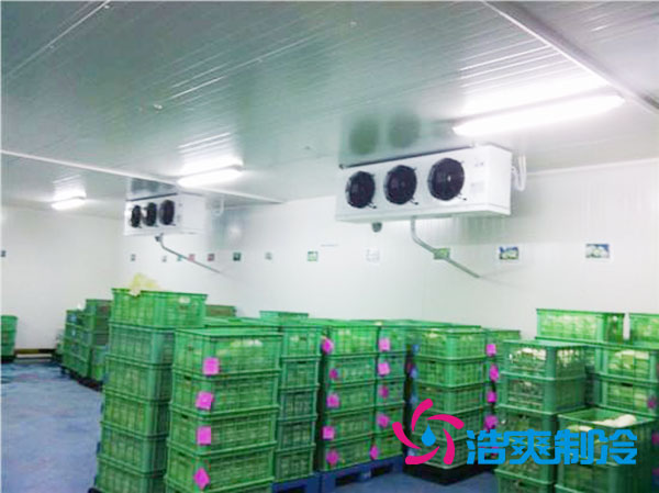 茶叶菠萝蜜在线观看造价多少一平方米？-菠萝蜜视频在线免费观看制冷