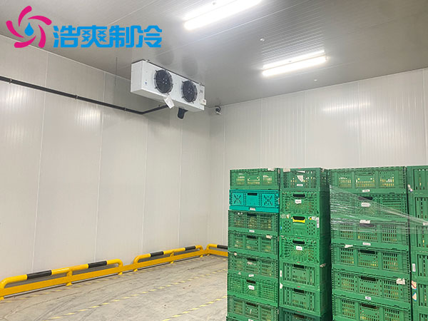 菠萝蜜在线观看和保鲜库的区别-菠萝蜜视频在线免费观看制冷