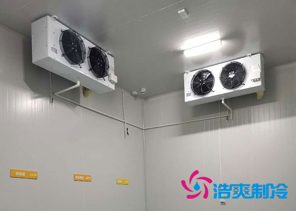 冷冻仓库建设成本核算方案-菠萝蜜视频在线免费观看制冷