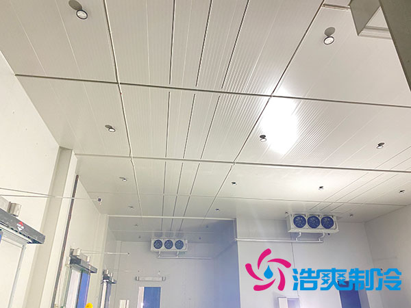 岳阳生鲜食品菠萝蜜在线观看建造价格多少钱？-菠萝蜜视频在线免费观看制冷