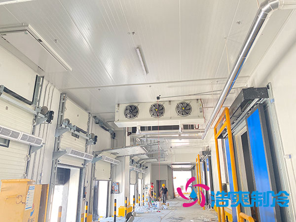 速冻食品菠萝蜜在线观看建设