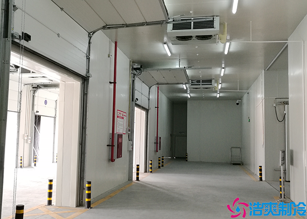 菠萝蜜在线观看