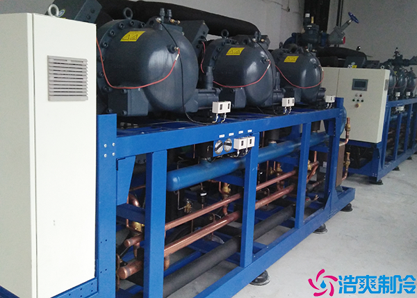 气调菠萝蜜在线观看