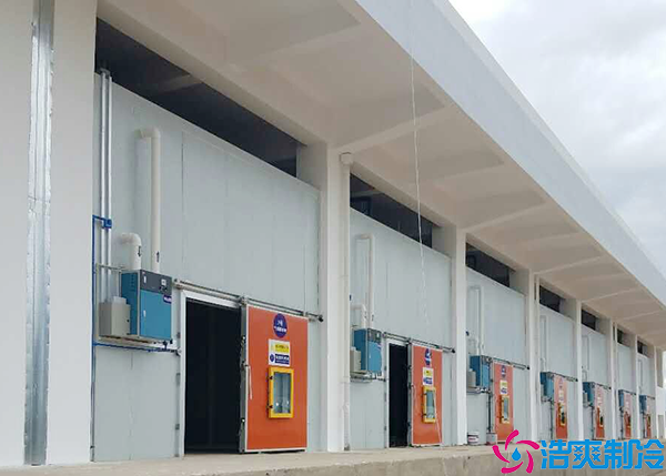 食品菠萝蜜在线观看