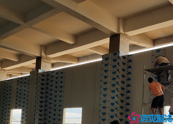 食品菠萝蜜在线观看