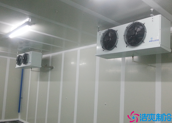 水果菠萝蜜在线观看