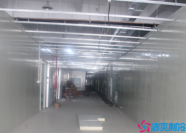 菠萝蜜在线观看安装