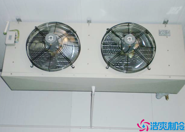 花卉菠萝蜜在线观看