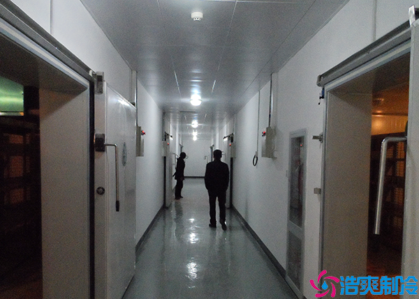 速冻菠萝蜜在线观看