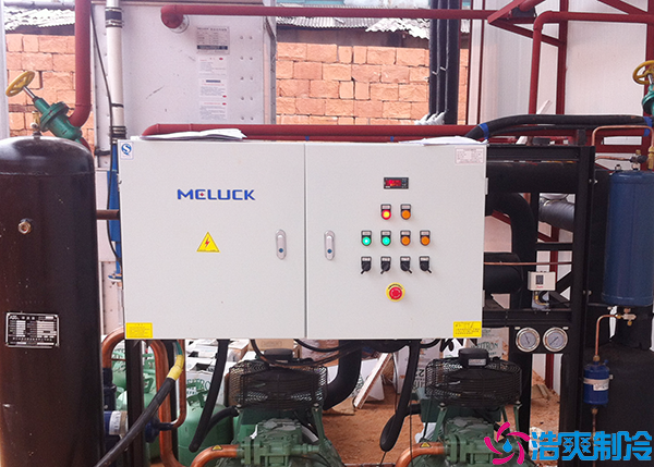 速冻菠萝蜜在线观看