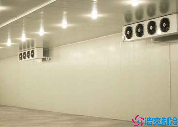 保鲜水果菠萝蜜在线观看