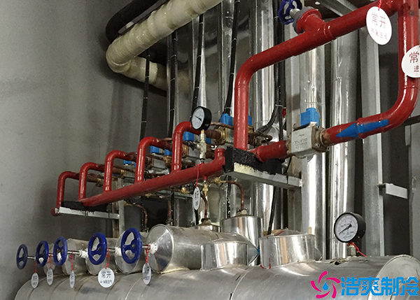 速冻菠萝蜜在线观看