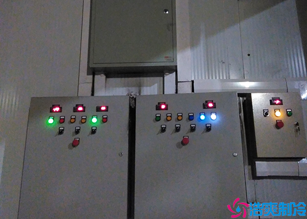 冷藏菠萝蜜在线观看