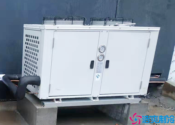 菠萝蜜在线观看