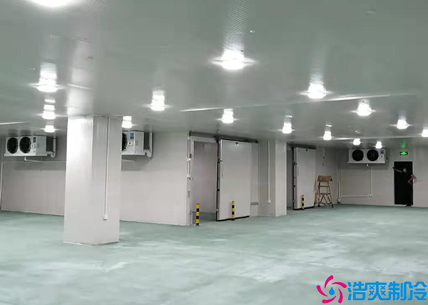 水果保鲜菠萝蜜在线观看