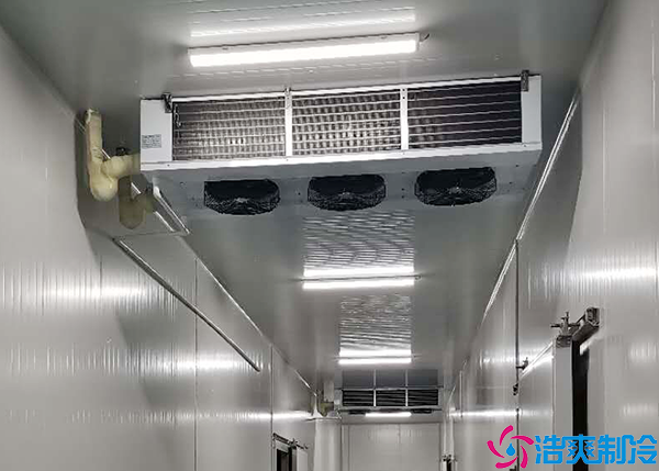 单温菠萝蜜在线观看