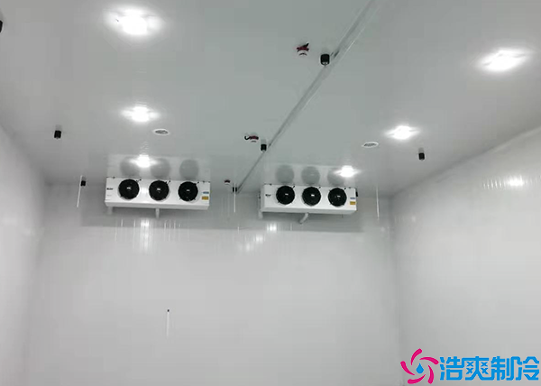 火龙果菠萝蜜在线观看