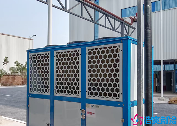 保鲜菠萝蜜在线观看