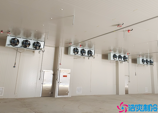 保鲜菠萝蜜在线观看