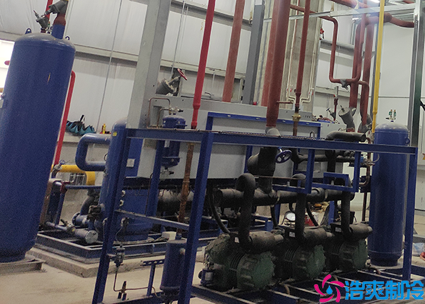 菠萝蜜在线观看