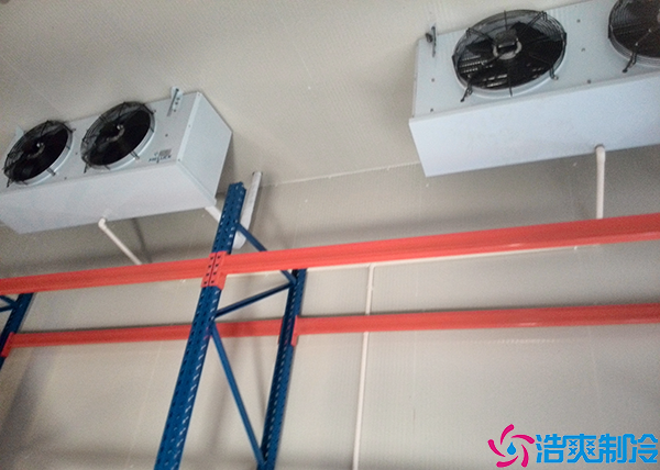 冷链物流菠萝蜜在线观看