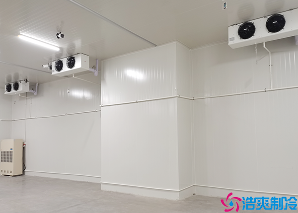 气调菠萝蜜在线观看