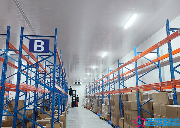 食品保鲜菠萝蜜在线观看