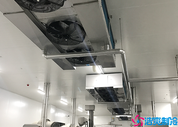 菠萝蜜在线观看