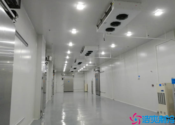 菠萝蜜在线观看建设