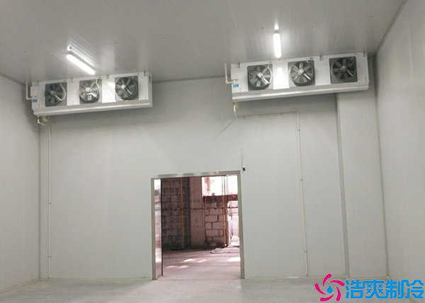 菠萝蜜在线观看节能