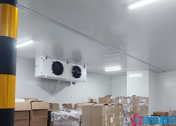 果蔬菠萝蜜在线观看