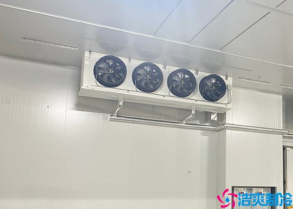 肉类菠萝蜜在线观看