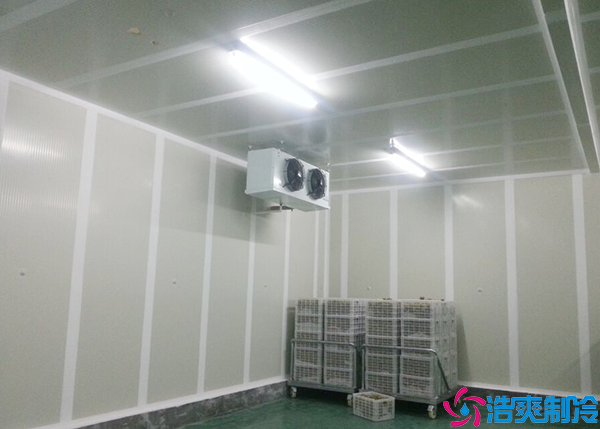 餐饮菠萝蜜在线观看