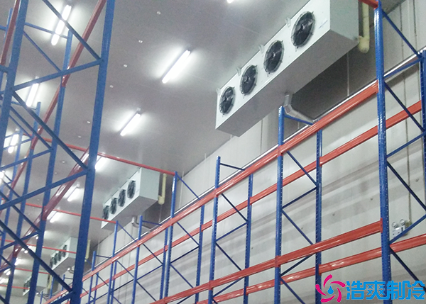 排酸菠萝蜜在线观看