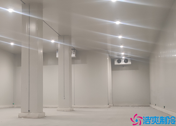 冷冻食品菠萝蜜在线观看