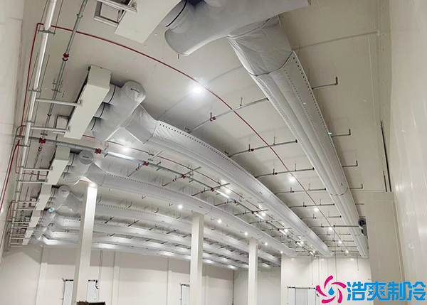 排酸速冻菠萝蜜在线观看