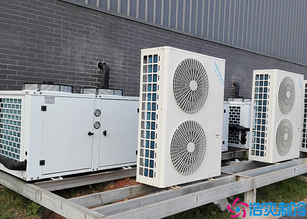 电商生鲜菠萝蜜在线观看