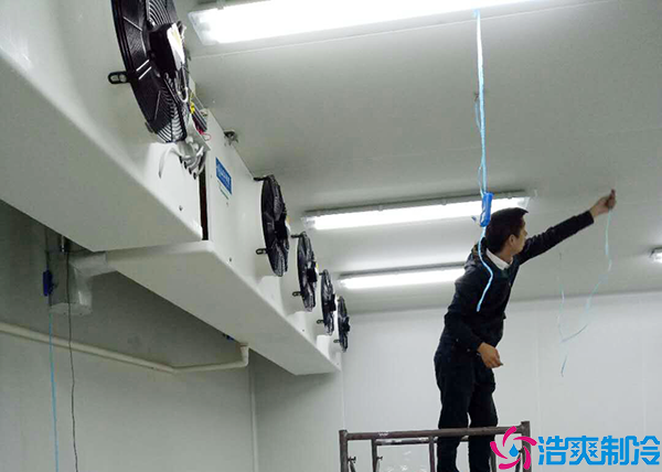 保鲜菠萝蜜在线观看