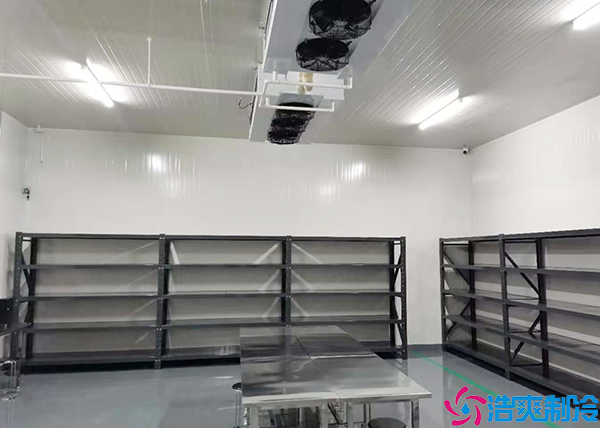 速冻菠萝蜜在线观看