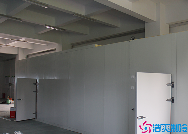 冷链物流菠萝蜜在线观看