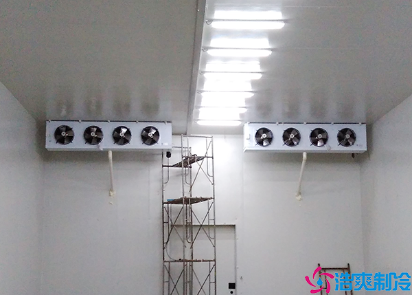 气调菠萝蜜在线观看