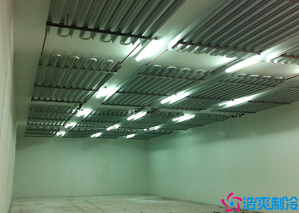 电商生鲜菠萝蜜在线观看