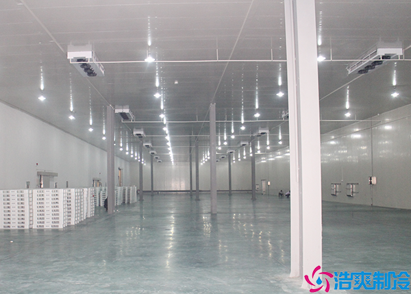 菠萝蜜在线观看安装