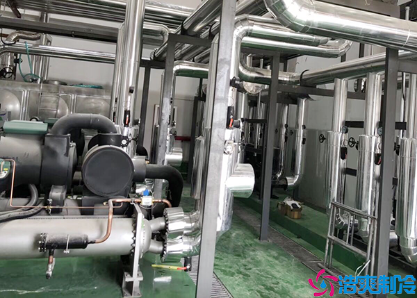 冷冻菠萝蜜在线观看