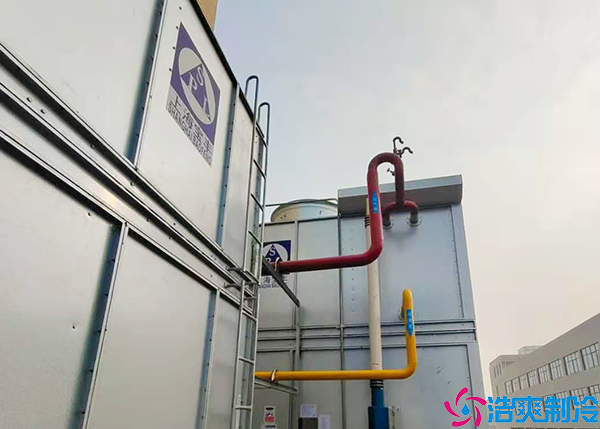 排酸速冻菠萝蜜在线观看